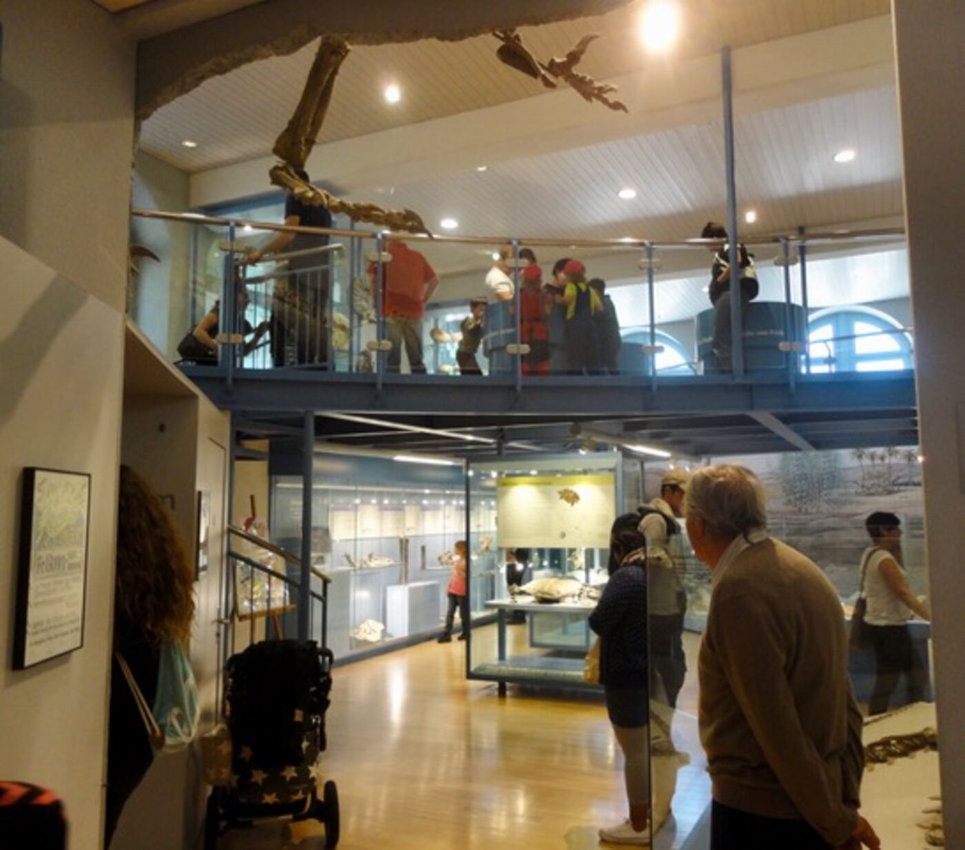 Sauriermuseum Frick