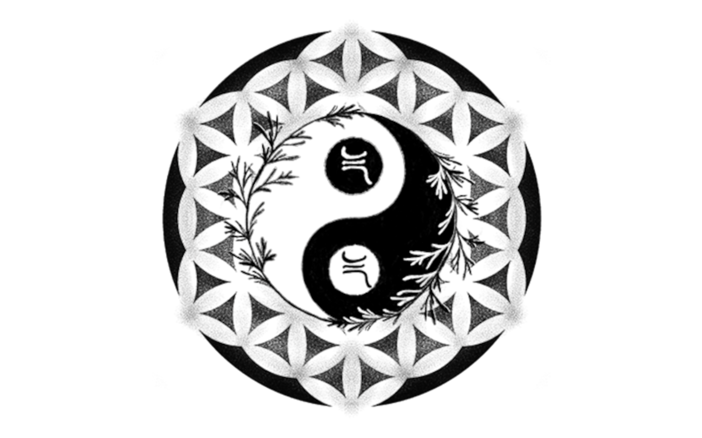 tcm laura – Ganzheitliche und chinesische Medizin