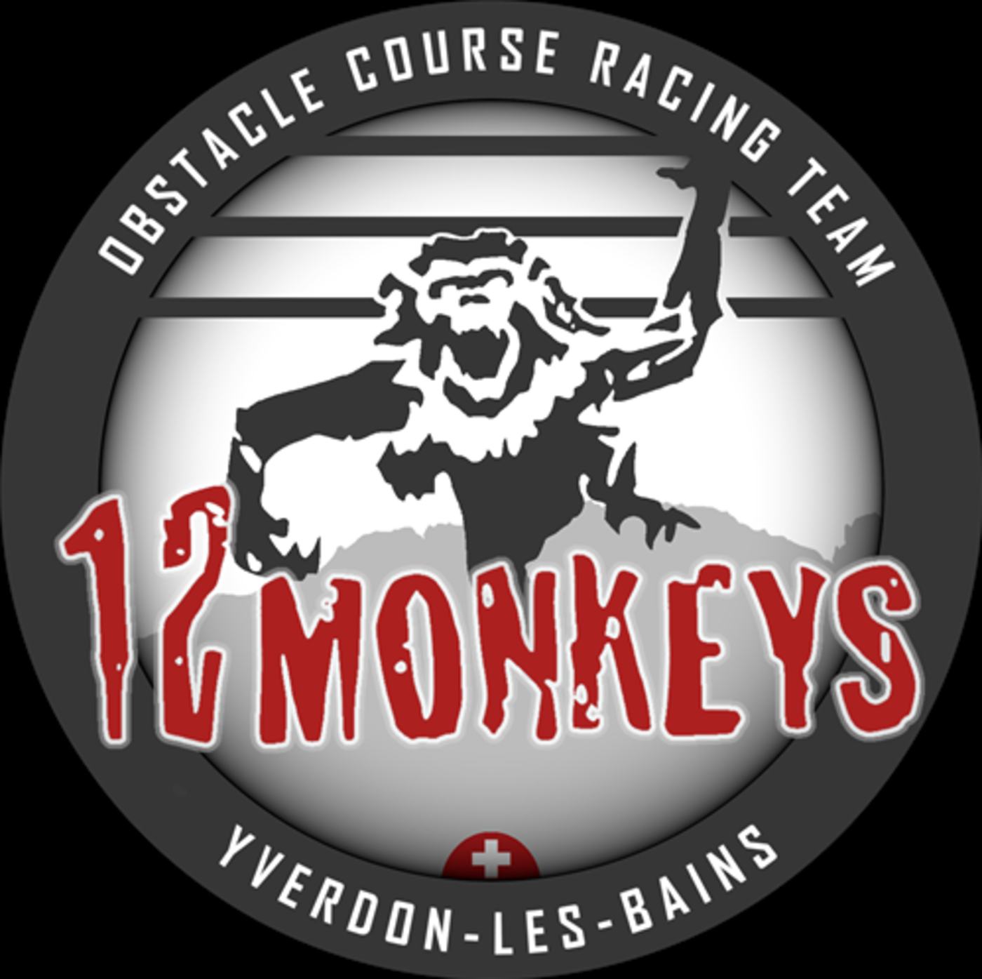 12 Monkeys OCR Team