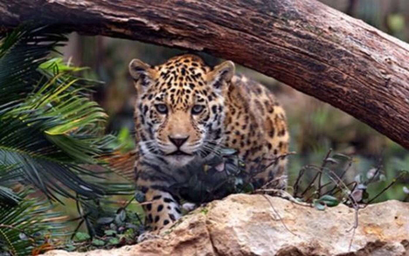 Tierpark Bern