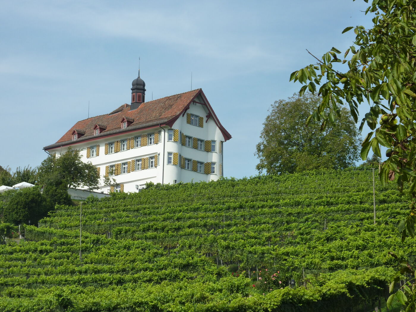 IG Schloss Dottenwil