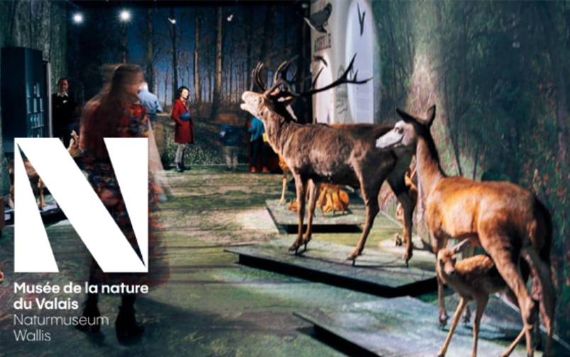 Naturmuseum Wallis