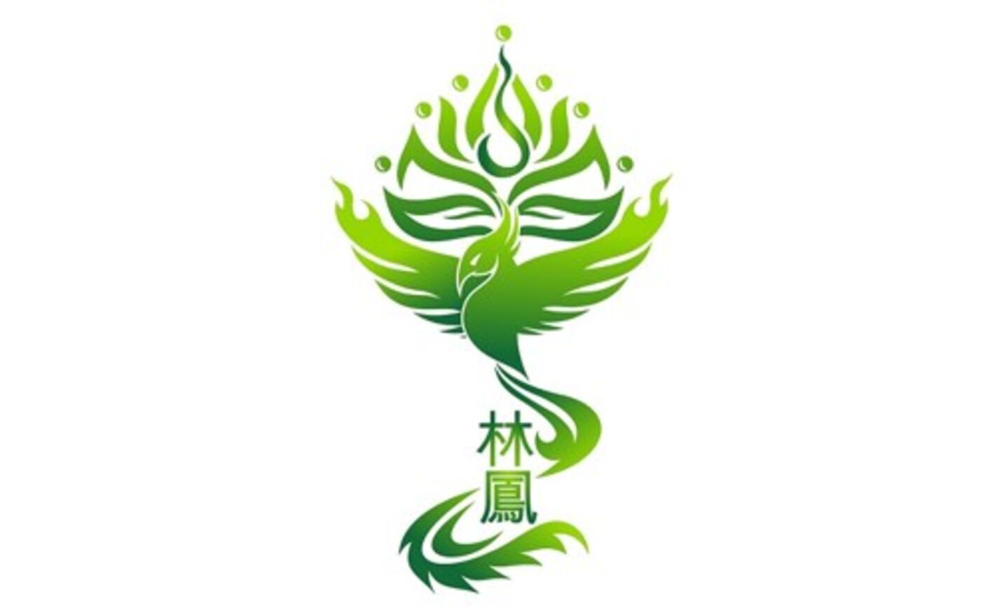 TCM Lin Feng - Naturheilpraxis für Traditionelle Chinesische Medizin