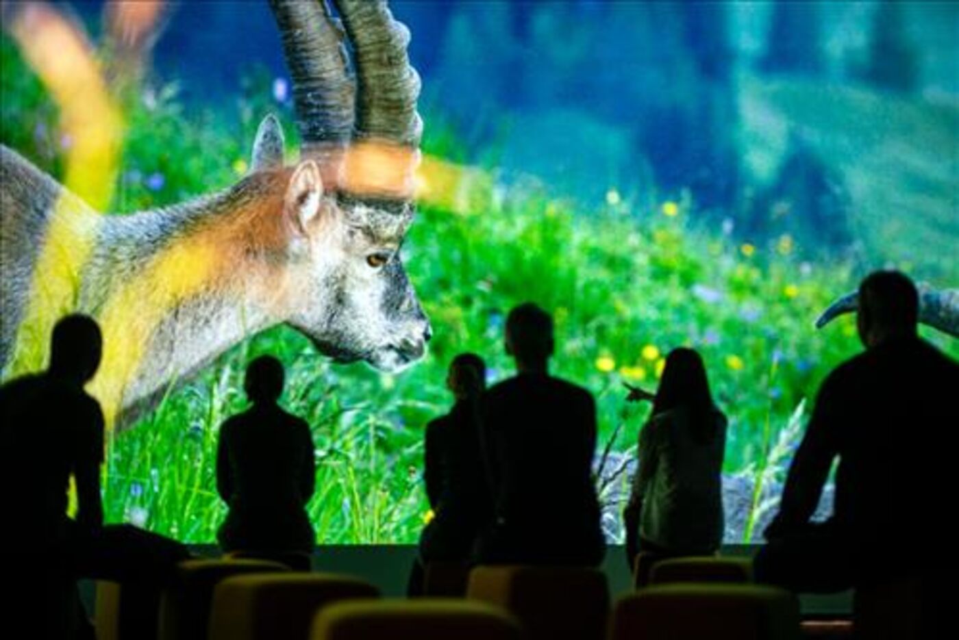 World Nature Forum | Museum der Alpen