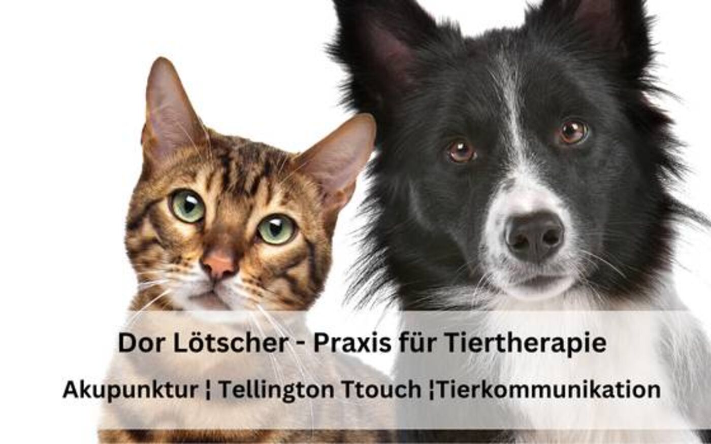 Praxis für Tiertherapie Sursee