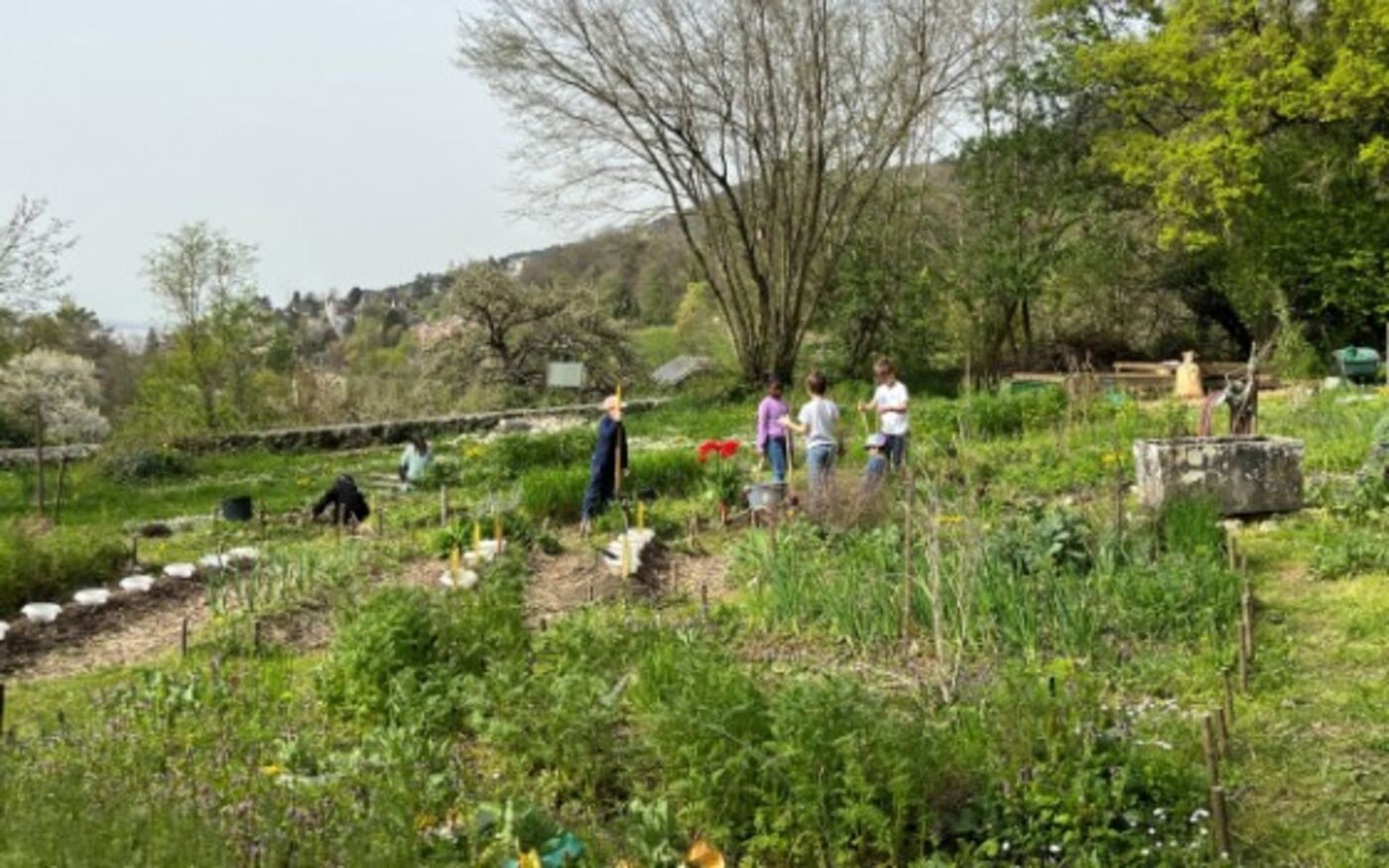 Natur Schule See Land / Ecole Nature See Land