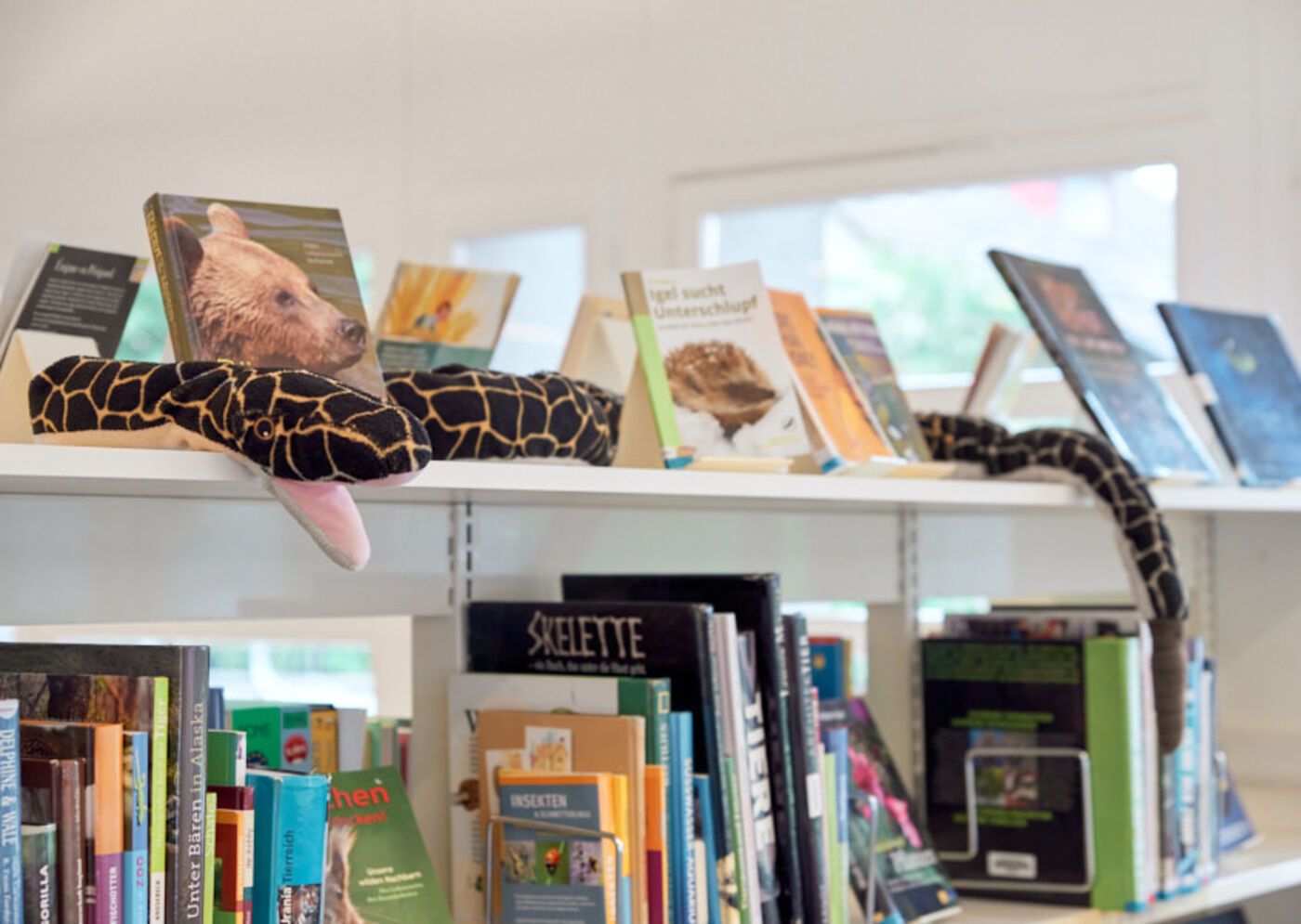 Bibliothek Muri-Gümligen