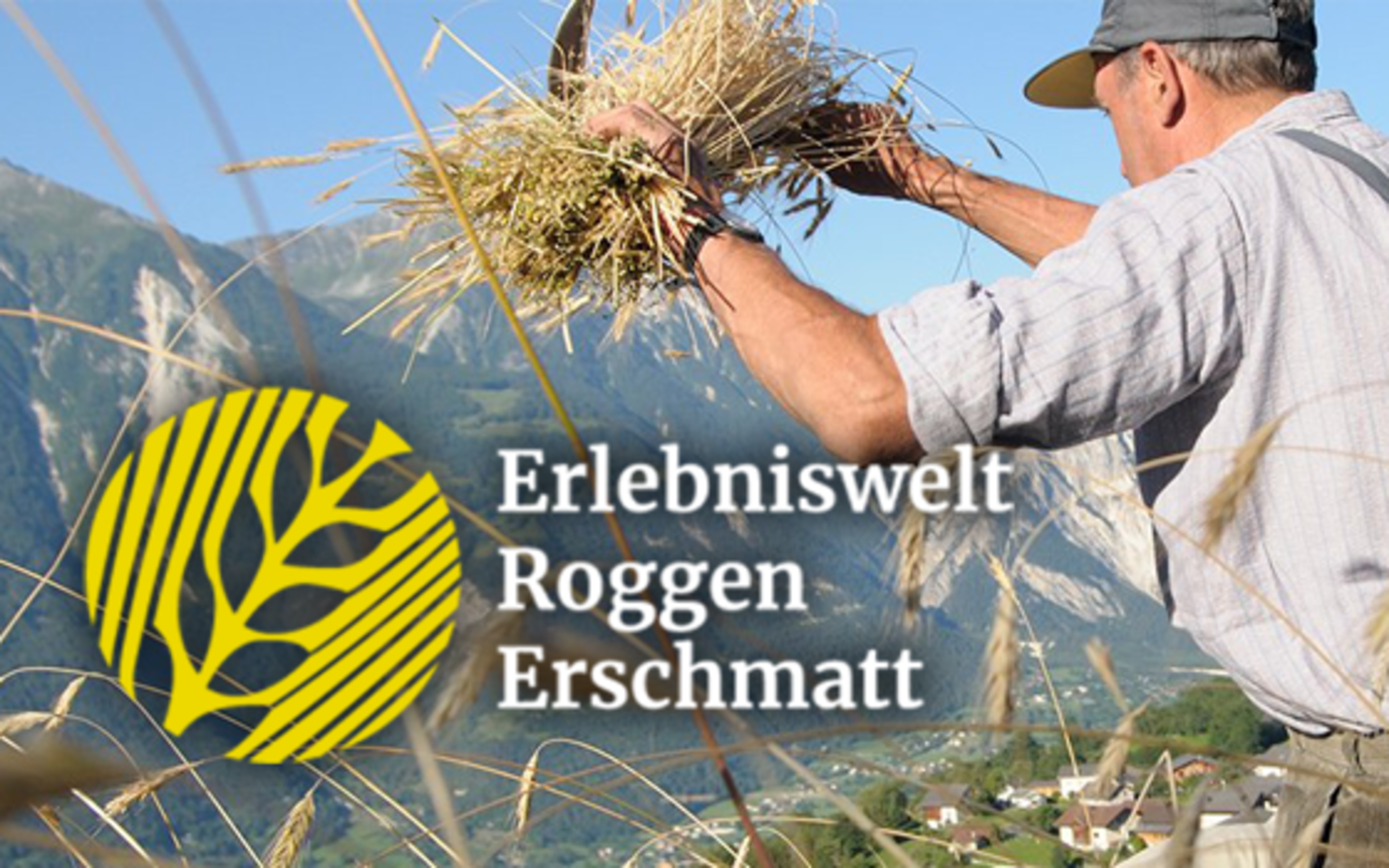 Erlebniswelt Roggen