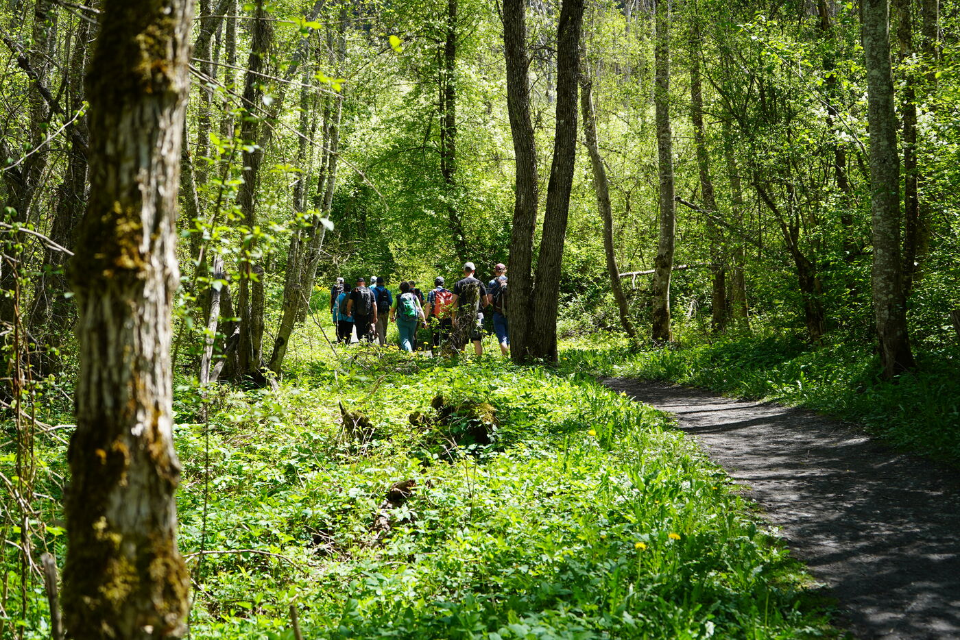 Exkursionsleiterkurse im Naturpark Beverin