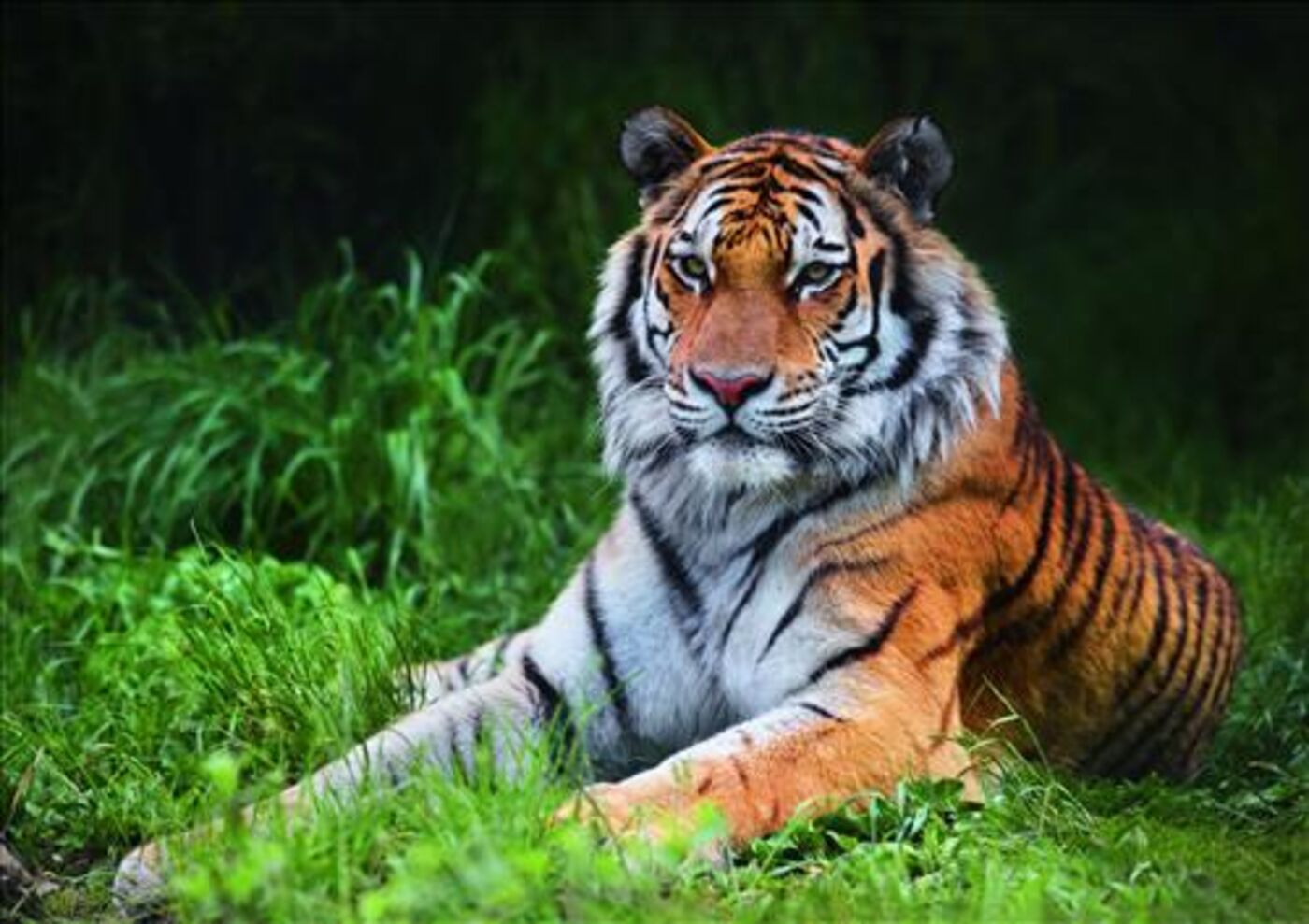 Walter Zoo
